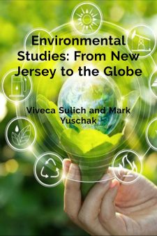 Environmental Studies: From New Jersey to the Globe book cover