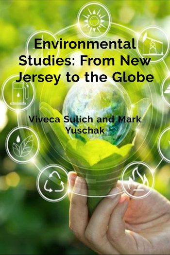 Cover image for Environmental Studies: From New Jersey to the Globe
